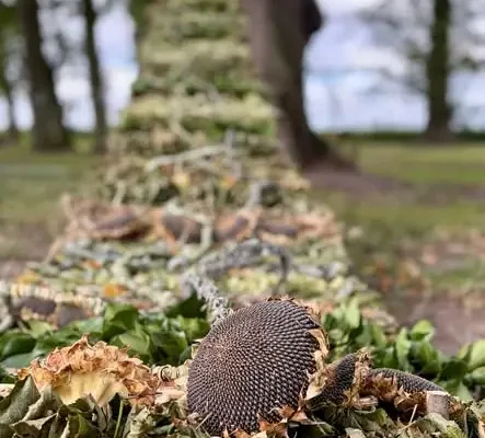 Spacer po parku w Ostoi z instalacjami land art – tylko do końca września