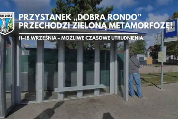 Zielona metamorfoza przystanku „Dobra rondo” – prace od 11 września