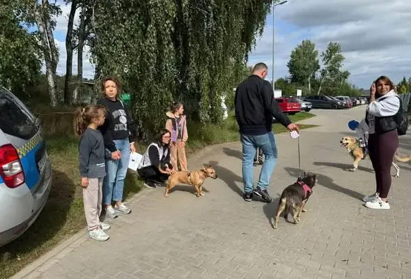 Dzień Psiaka i Kociaka w Dobrej – adopcje, pokazy i spacer z psami