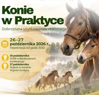 Konferencja „Konie w Praktyce” w Barzkowicach – dobrostan, użytkowanie i rejestracja koni